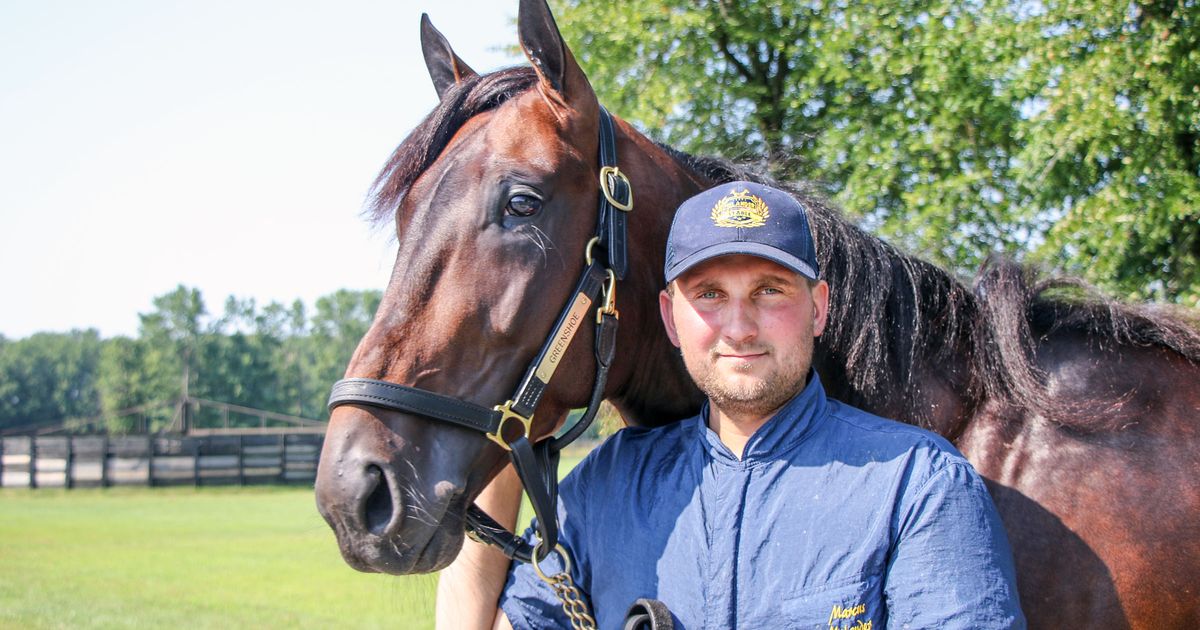 Harness: Growing Melander stable about a month away from qualifiers