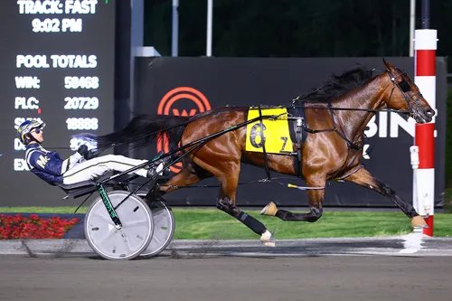 Highland Kismet 6-15-24