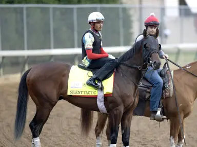 Kentucky Derby 2026: Silent Tactic scratch a reminder of how unforgiving the trail is