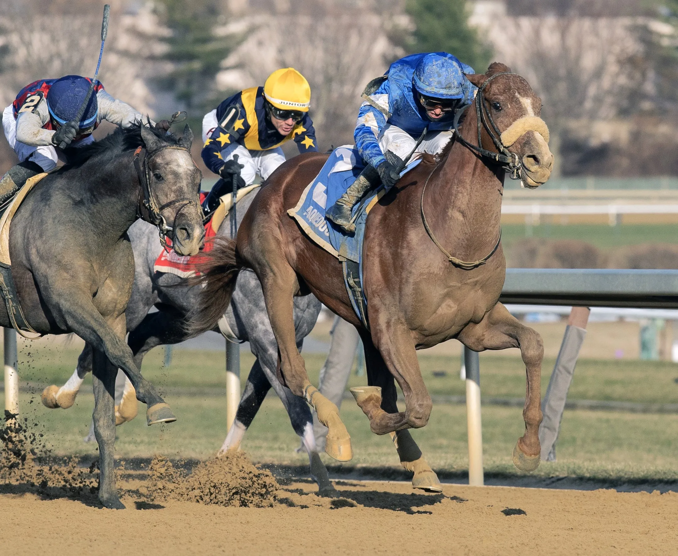 Poster wins Remsen at AQU Dec 7 2024