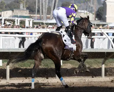 Baeza resumes galloping