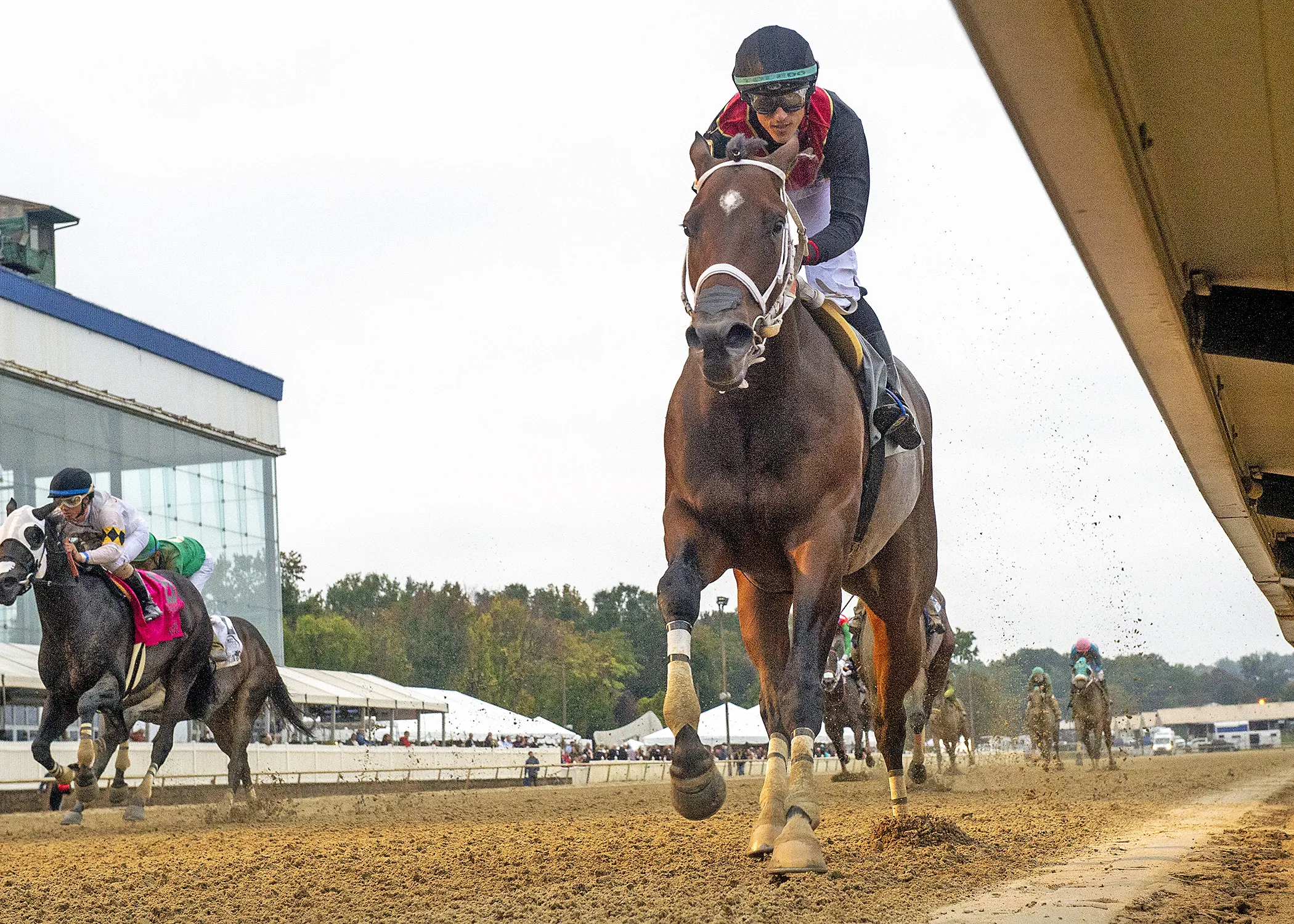 Intrepid Daydream wins Maryland Million Distaff at LRL Oct 14 2023