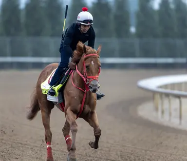 2026 Kentucky Derby: Delgados and Co. back in spotlight with The Puma