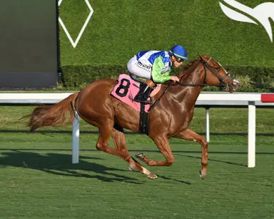 Allowance dash attracts fat field
