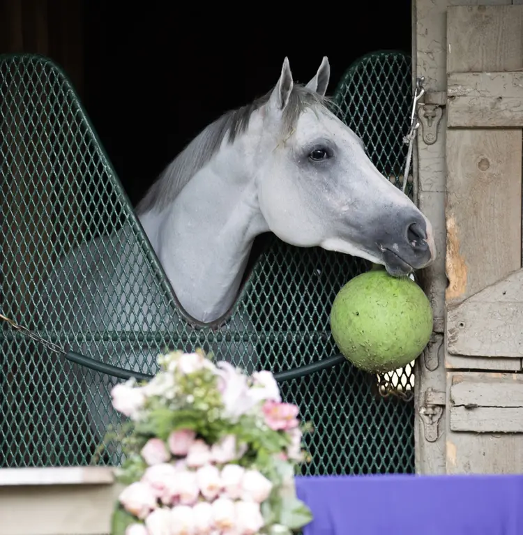 Arthur's Ride will try for Whitney-Jockey Club Gold Cup double, Mott says