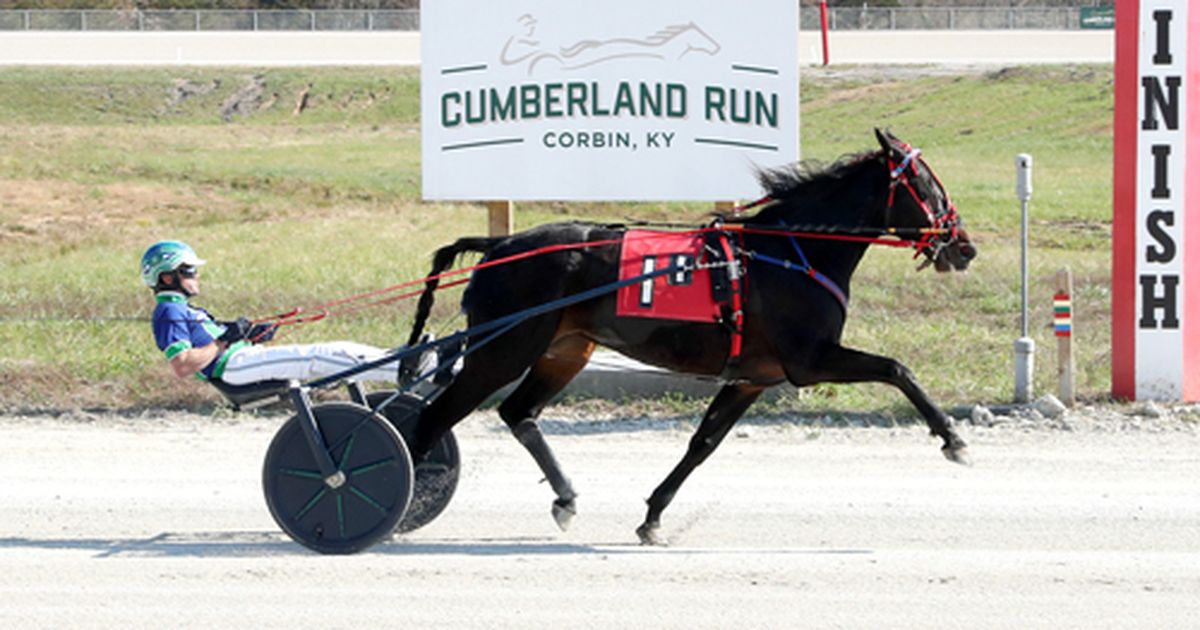 Cumberland Run: Repeaters in Kentucky Sires Stakes for four-year-olds