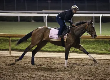 Beckman trying to cure seconditis with Drexel Hill in Wayward Lass