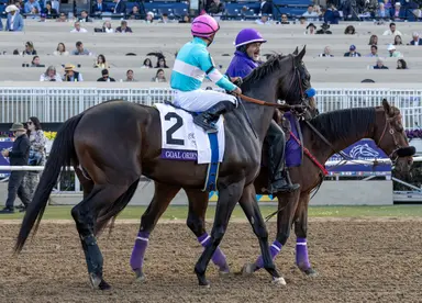 Goal Oriented's racing days over, says Spendthrift Farm