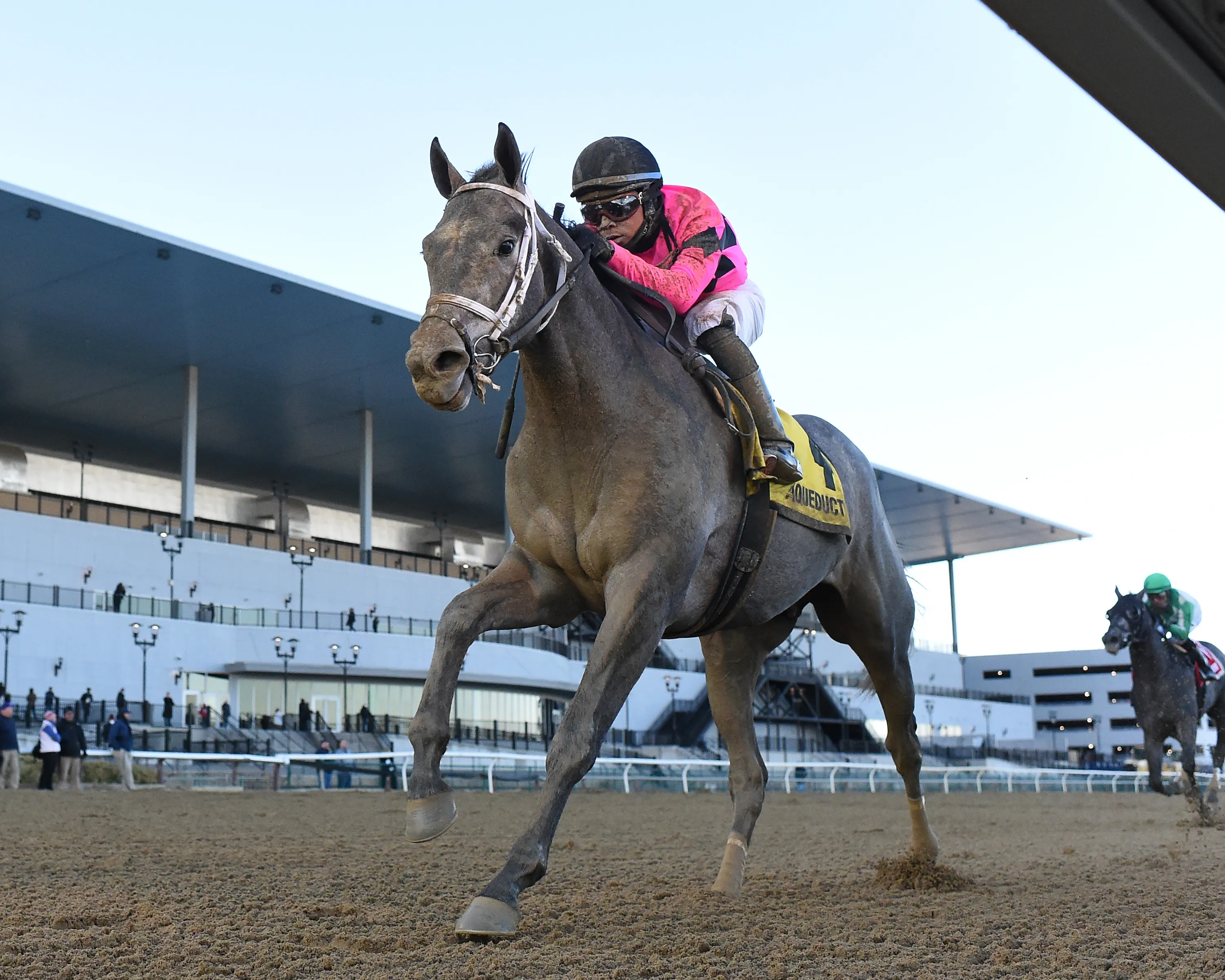 Hit Show wins the Withers at AQU Feb 22 2023