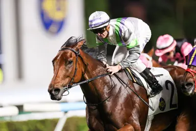 Light Years Charm sets out to prove capability in Chinese Club Challenge Cup