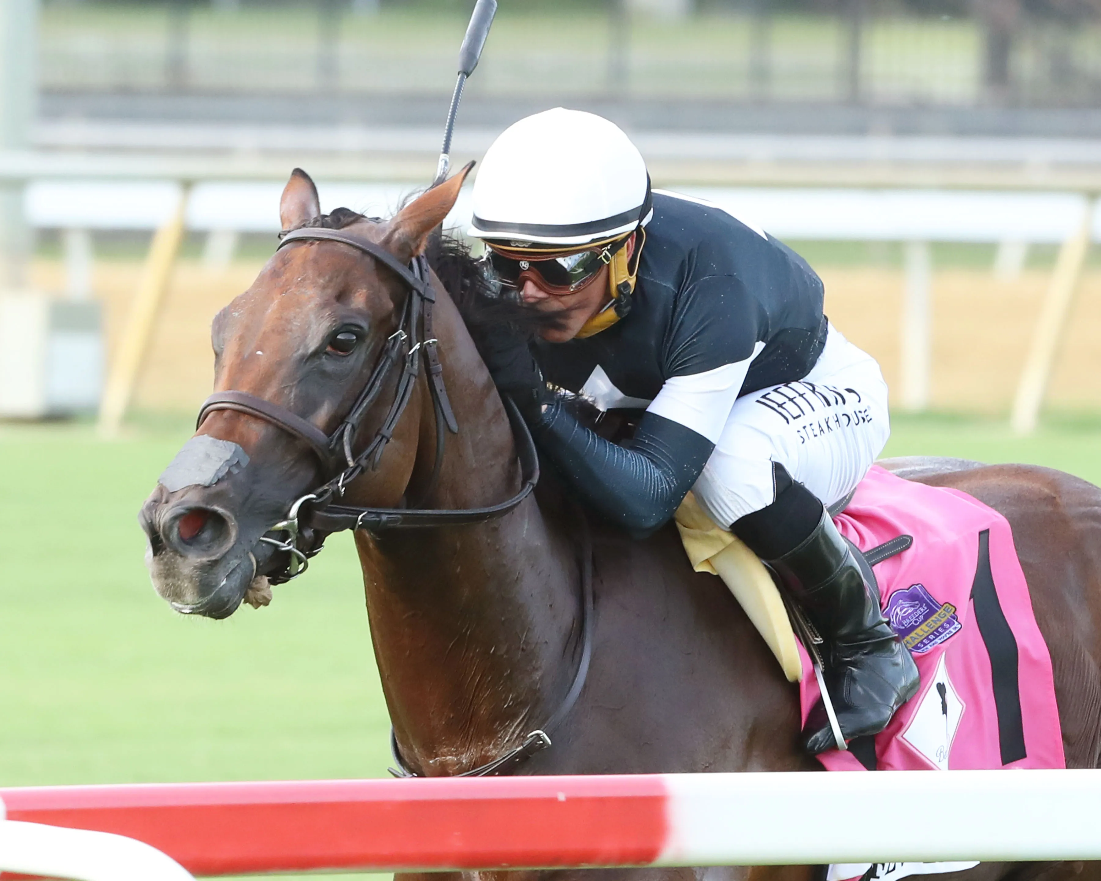 FEV ROVER - The Beverly D G1 - 08-12-23 - R09 - Colonial Downs - Inside Finish 01.jpg