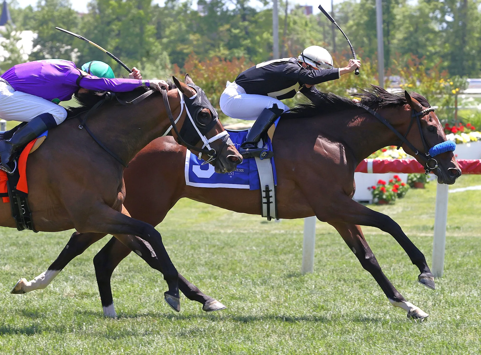 I Love Giraffes wins maiden at LRL May 16 2026