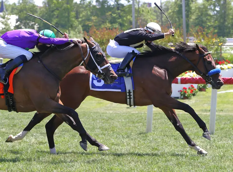 I Love Giraffes wins maiden at LRL May 16 2026