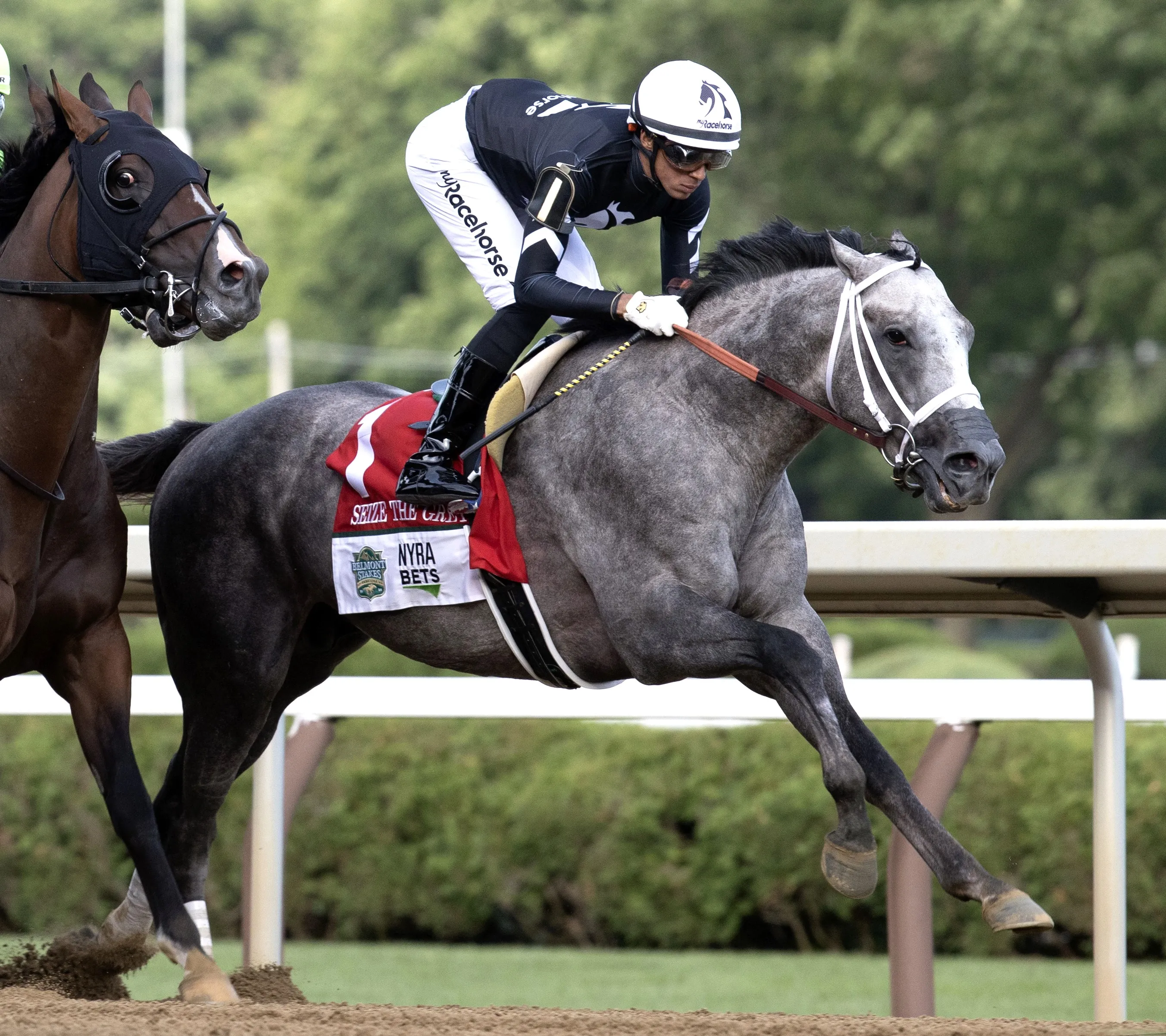 Seize the Grey during Belmont Stakes at SAR June 8 2024