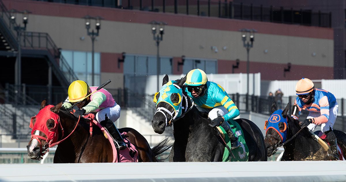 DRF's Horse Racing Playbook for Saturday, April 11, 2026