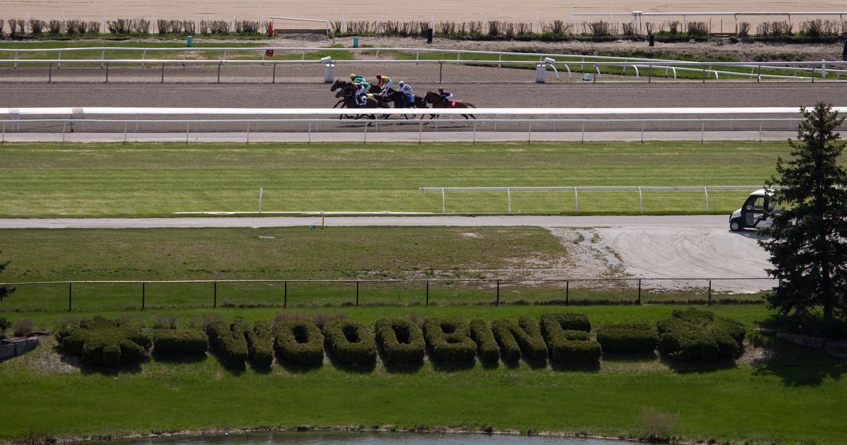 Woodbine announces new television partnership
