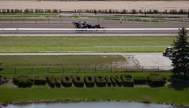 Woodbine announces new television partnership