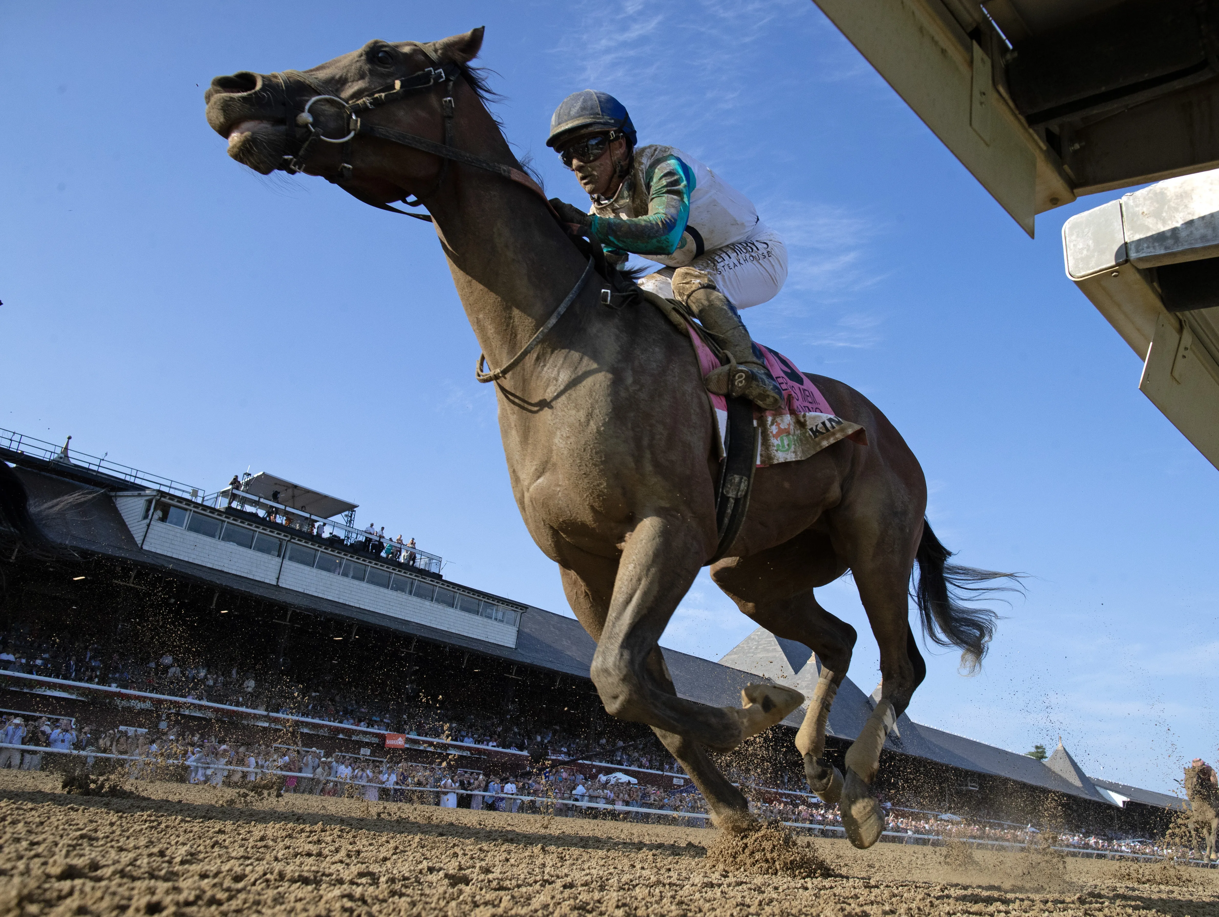 Book'em Danno - not winner.8-25-24.BL_.jpg