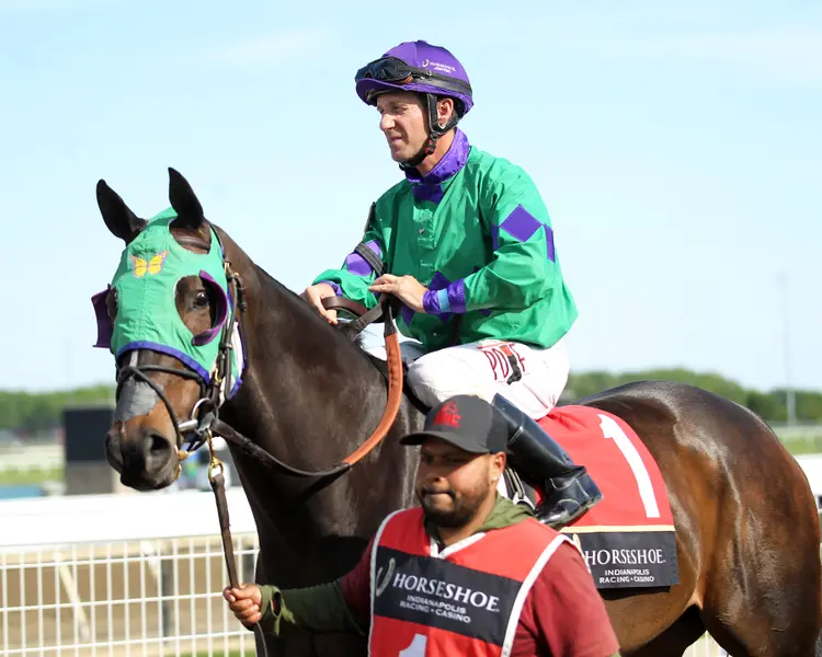 IMAGINE THE MOON - Shelby County - 24th Running - 06-03-26 - R08 - Horseshoe Indiana - Paddock 01 - Casey Cable.jpg