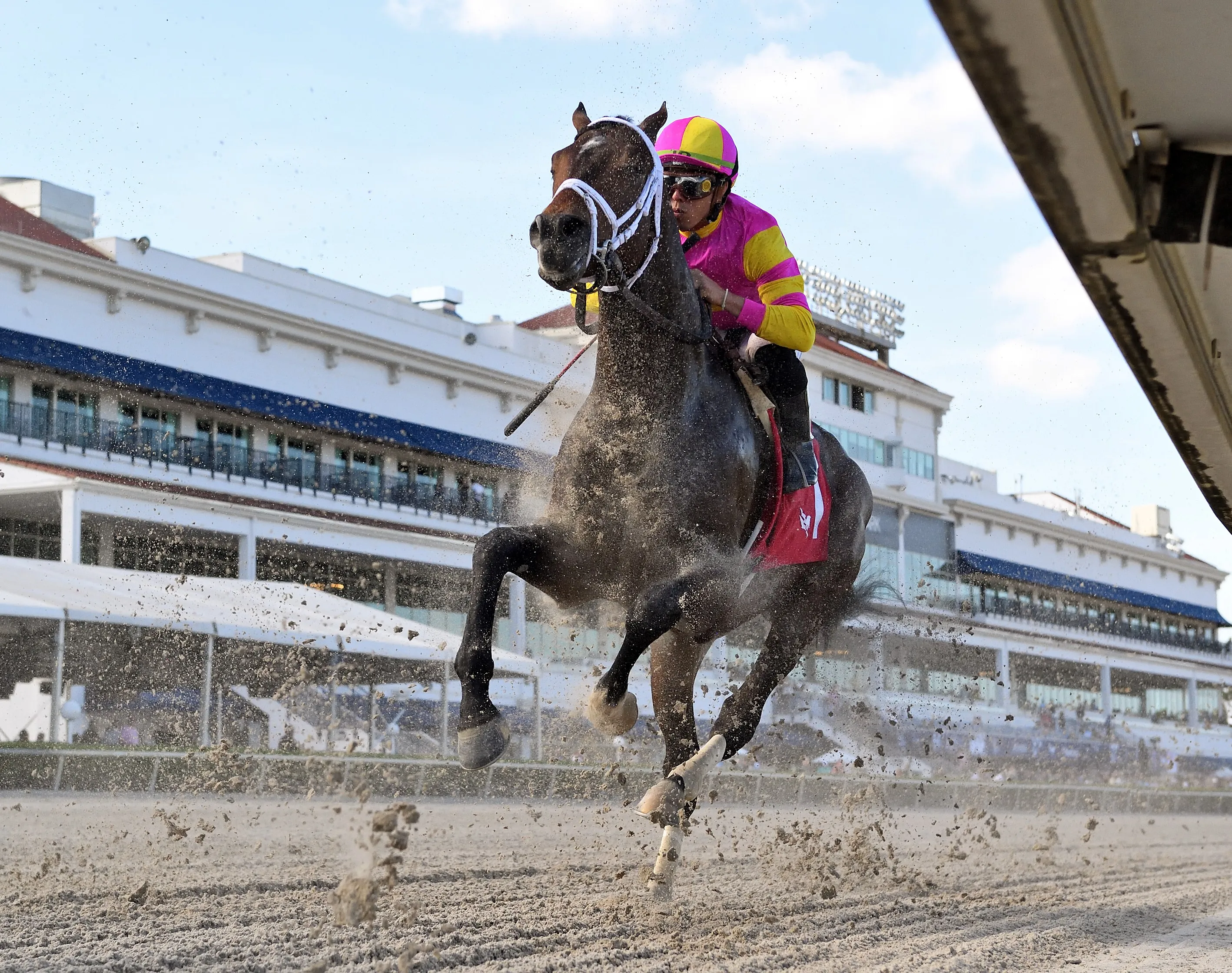Classic Catch wins at GP March 2 2023