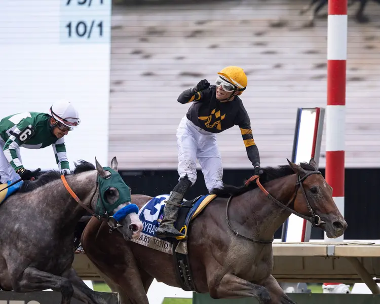 Baby Vino01.7.18.26.EQUI-PHOTO