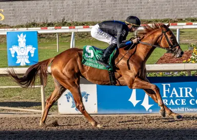 Louisiana Futurity favorites hard to ignore