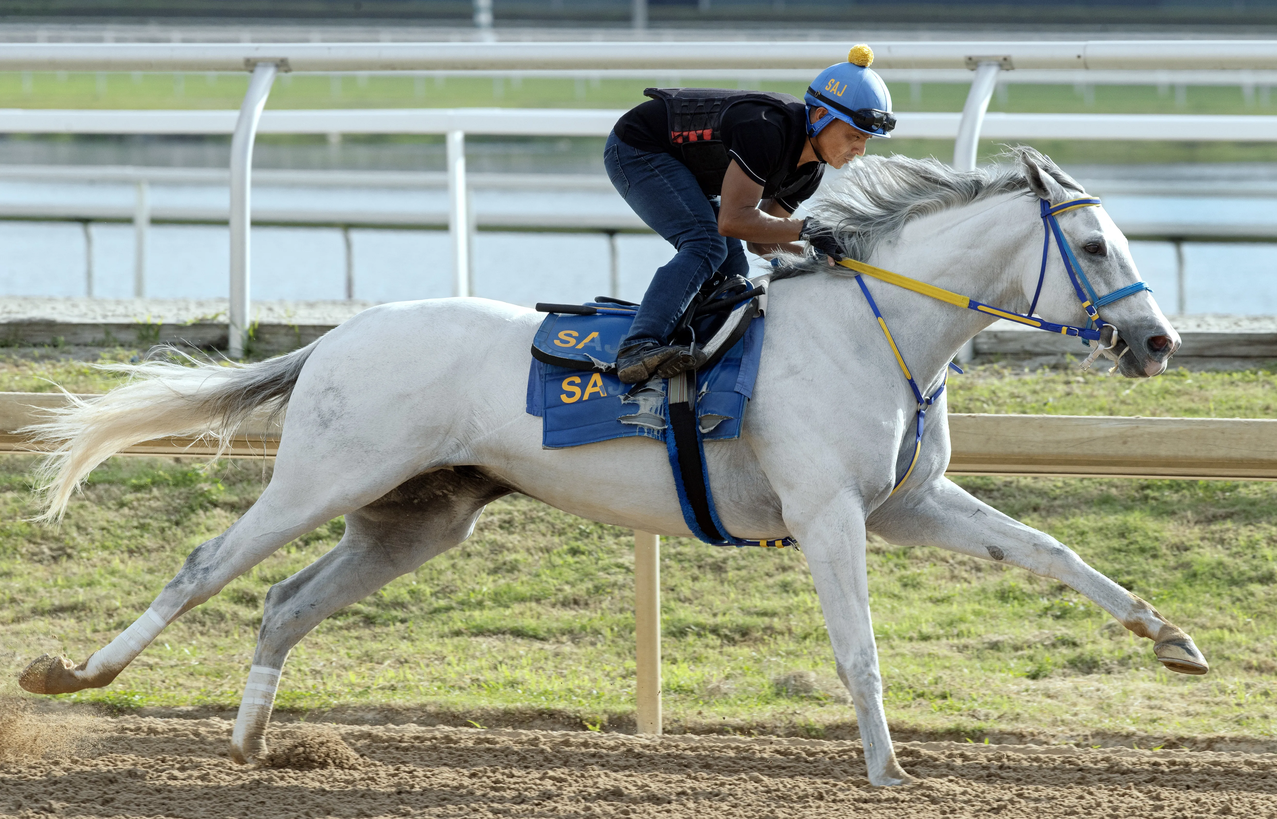 White Abarrio.3-26-26.BL