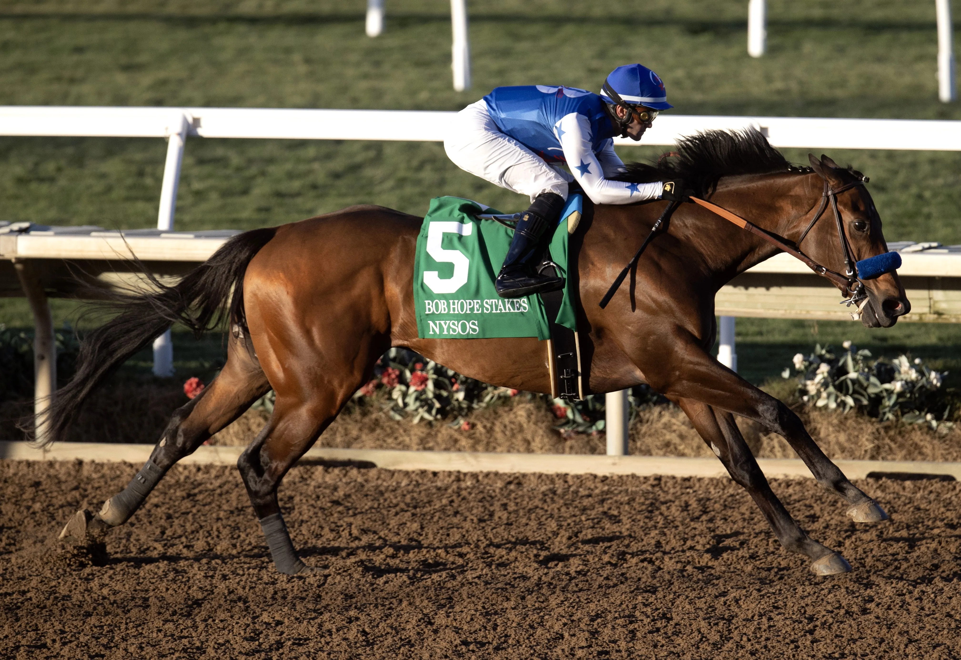 Nysos wins Bob Hope at DMR Nov 19 2023