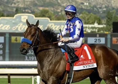 Nysos likely headed to Saudi Cup; Nevada Beach possible to join him