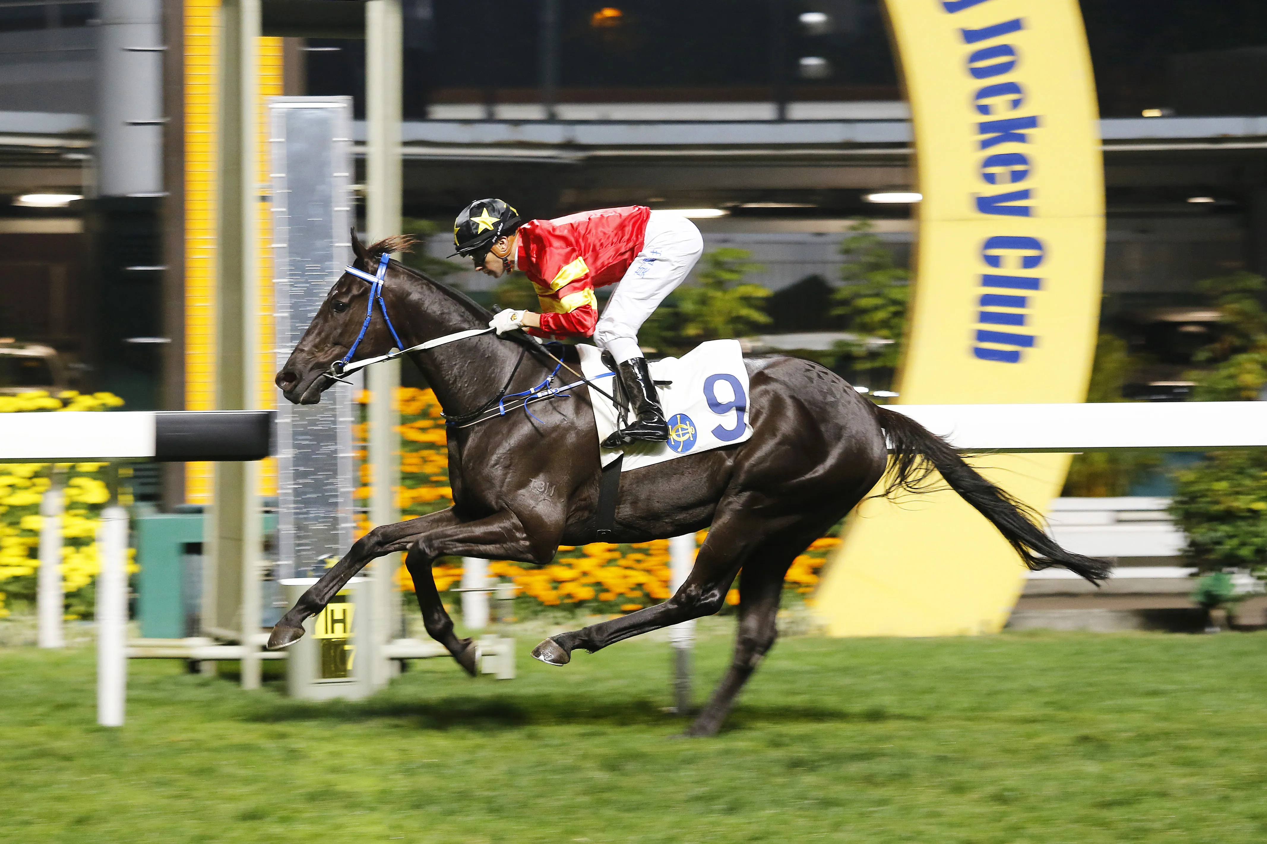 Marvel Hero wins the 2017 Happy Valley Vase