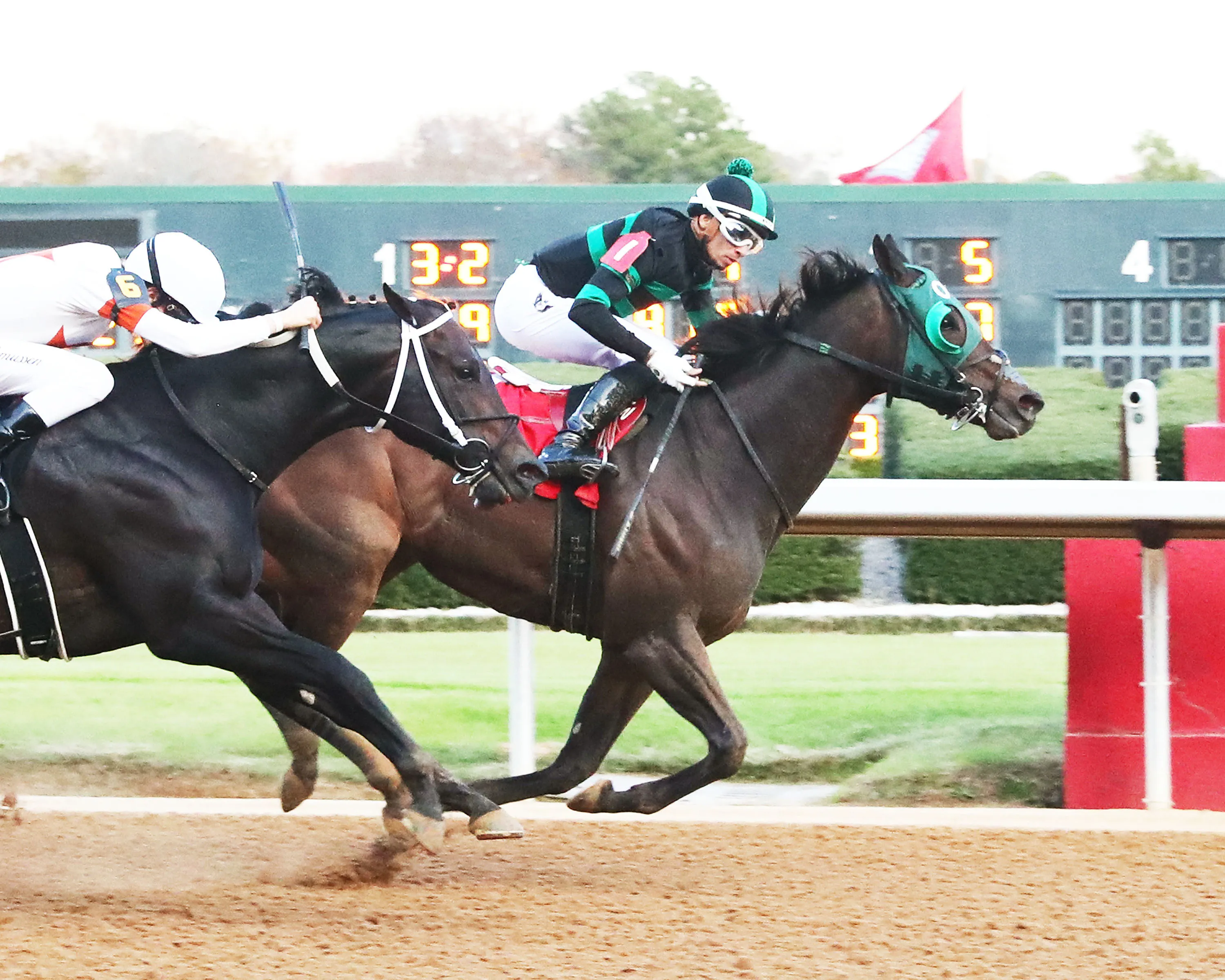 HAPPY IS A CHOICE - Ring The Bell Stakes - 12-07-24 - R09 - Oaklawn Park - Finish 01 - Renee Torbit.jpg