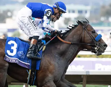 2025 Eclipse Awards: Nysos