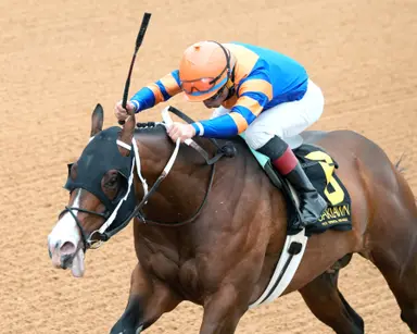 Obliteration has no problem with Renaissance Stakes