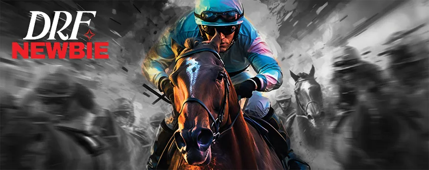 DRF Newbie