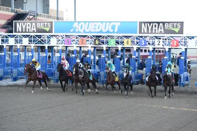 Trainer Bond, under NYRA investigation, wins first race at Aqueduct with Bodegas