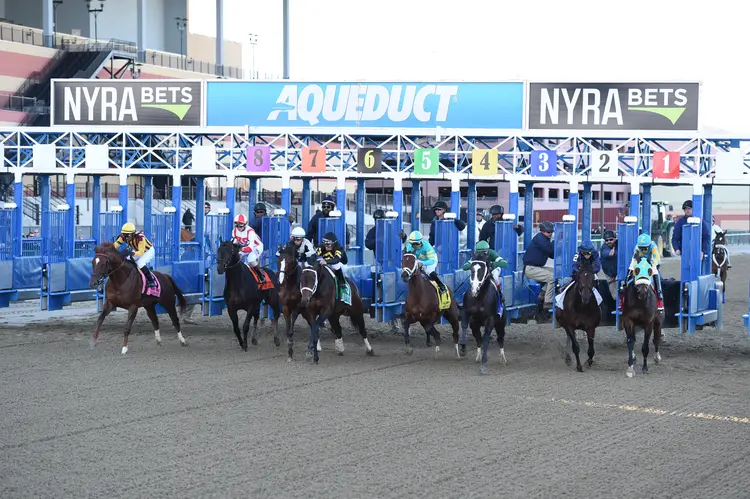 AQU.Wood Memorial start01.4-8-17.CDNY_.jpg