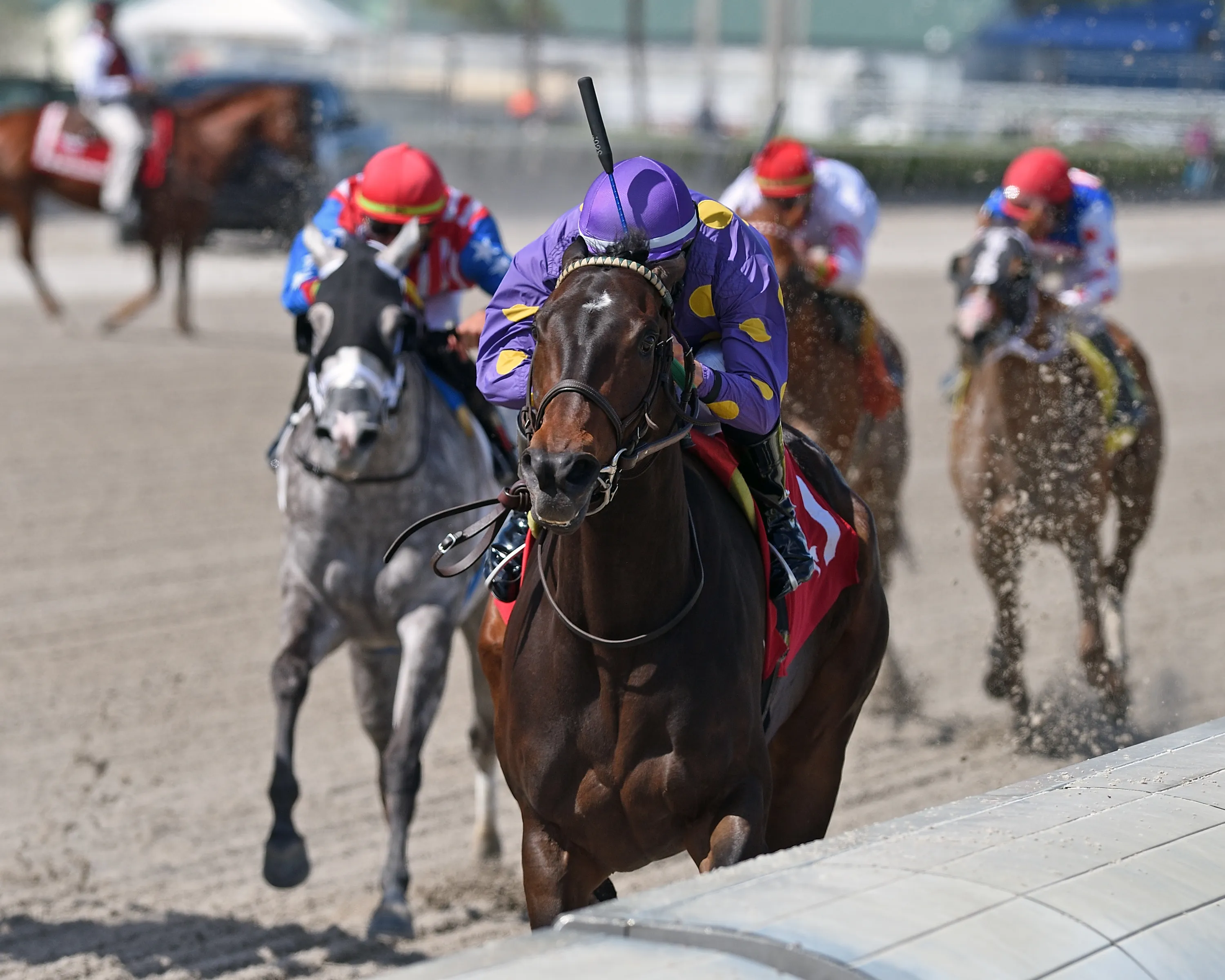 Rachel's Rock wins at GP March 22 2023