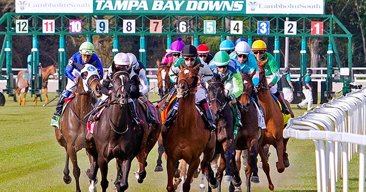 DRF's Horse Racing Playbook for Friday, April 24, 2026