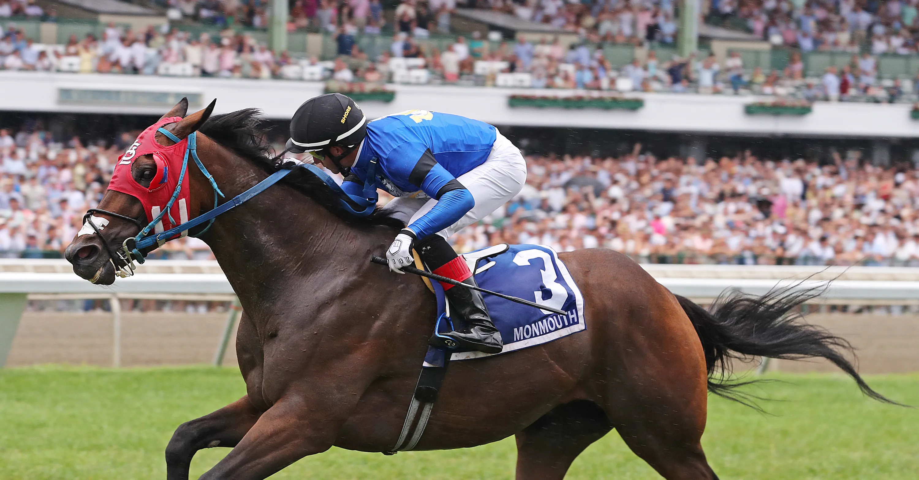 Fierce and Strong11.7.19.25.EQUI-PHOTO.jpg