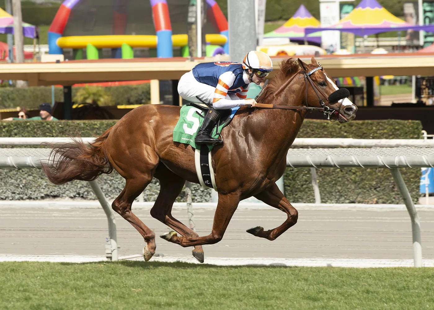 Conclude wins maiden race at SA March 4 2023