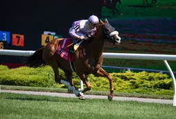 Miss Vyvyanne shuts down the boys in Highlander Stakes
