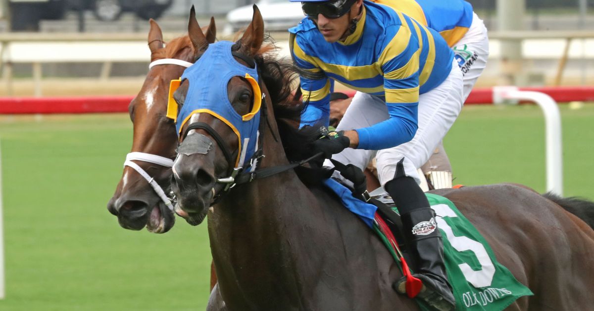 War Humor takes early lead all the way in Edward P. Evans Stakes