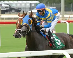 War Humor takes early lead all the way in Edward P. Evans Stakes