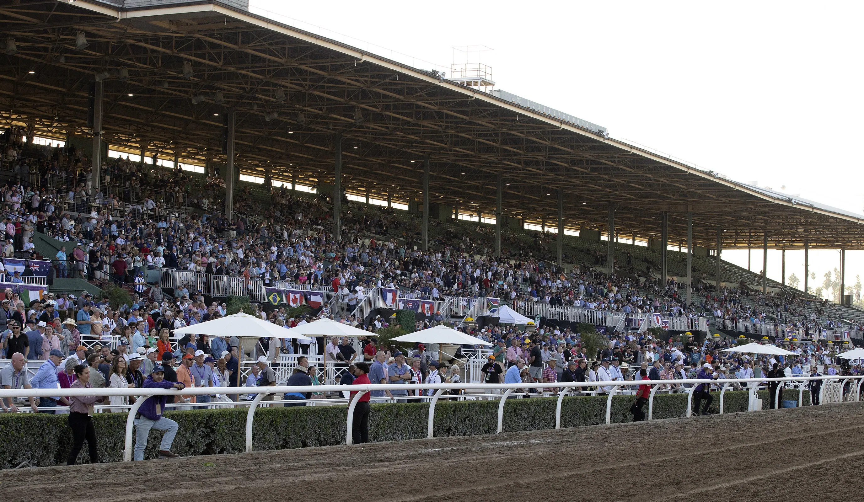 Santa Anita.Breeders Cup.scenic03.11-03-23.SR_.jpg