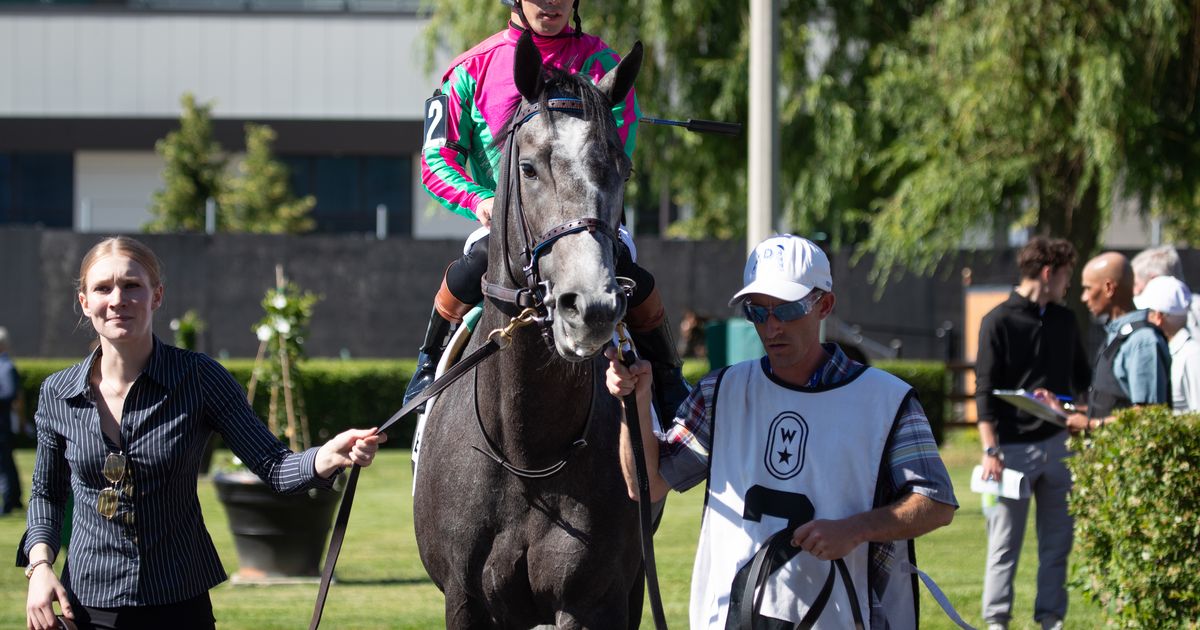 Woodbine Oaks does not lack Luster, who should go favored