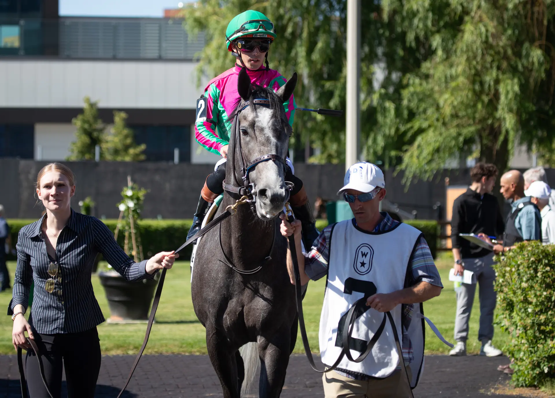 Woodbine Oaks does not lack Luster, who should go favored