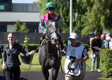Woodbine Oaks does not lack Luster, who should go favored
