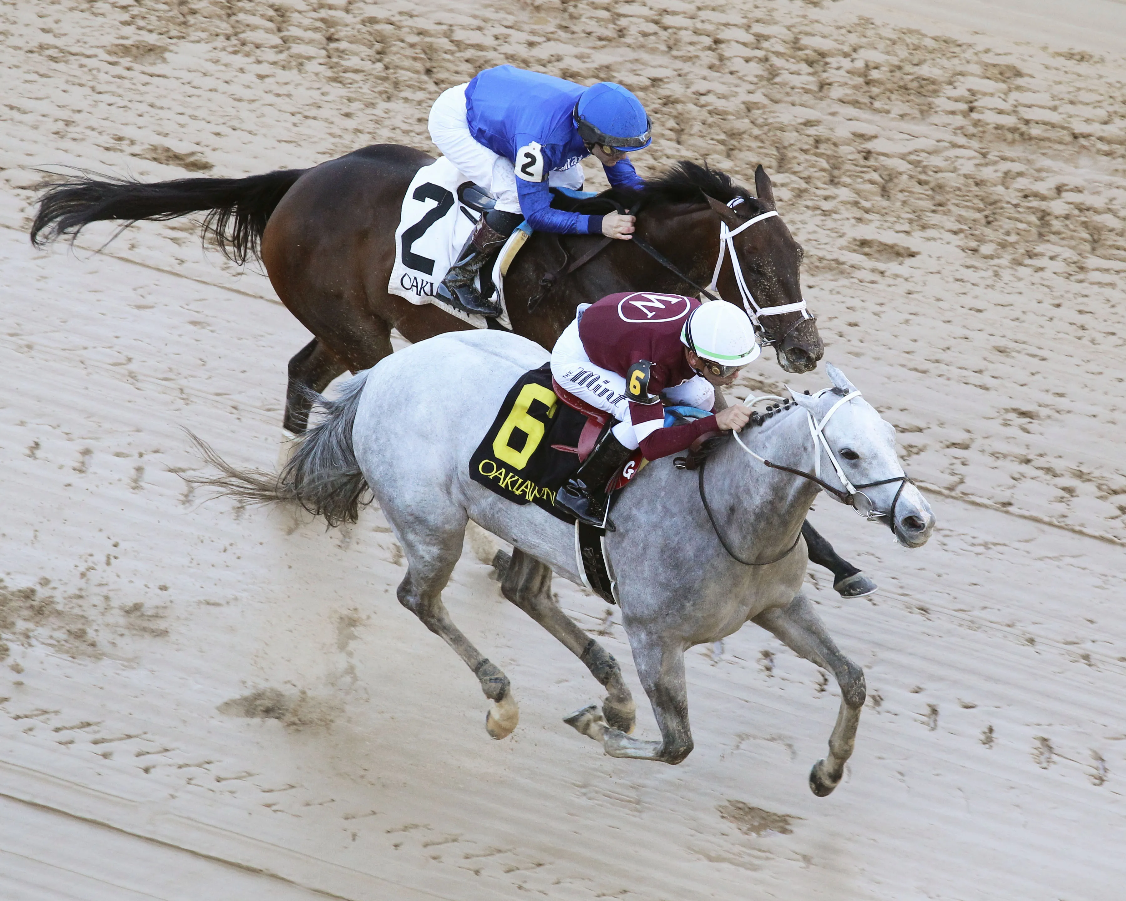 WICKED HALO - The Matron Stakes - 1st Running - 03-31-23 - R09 - Oaklawn Park - Aerial Finish 01.jpg