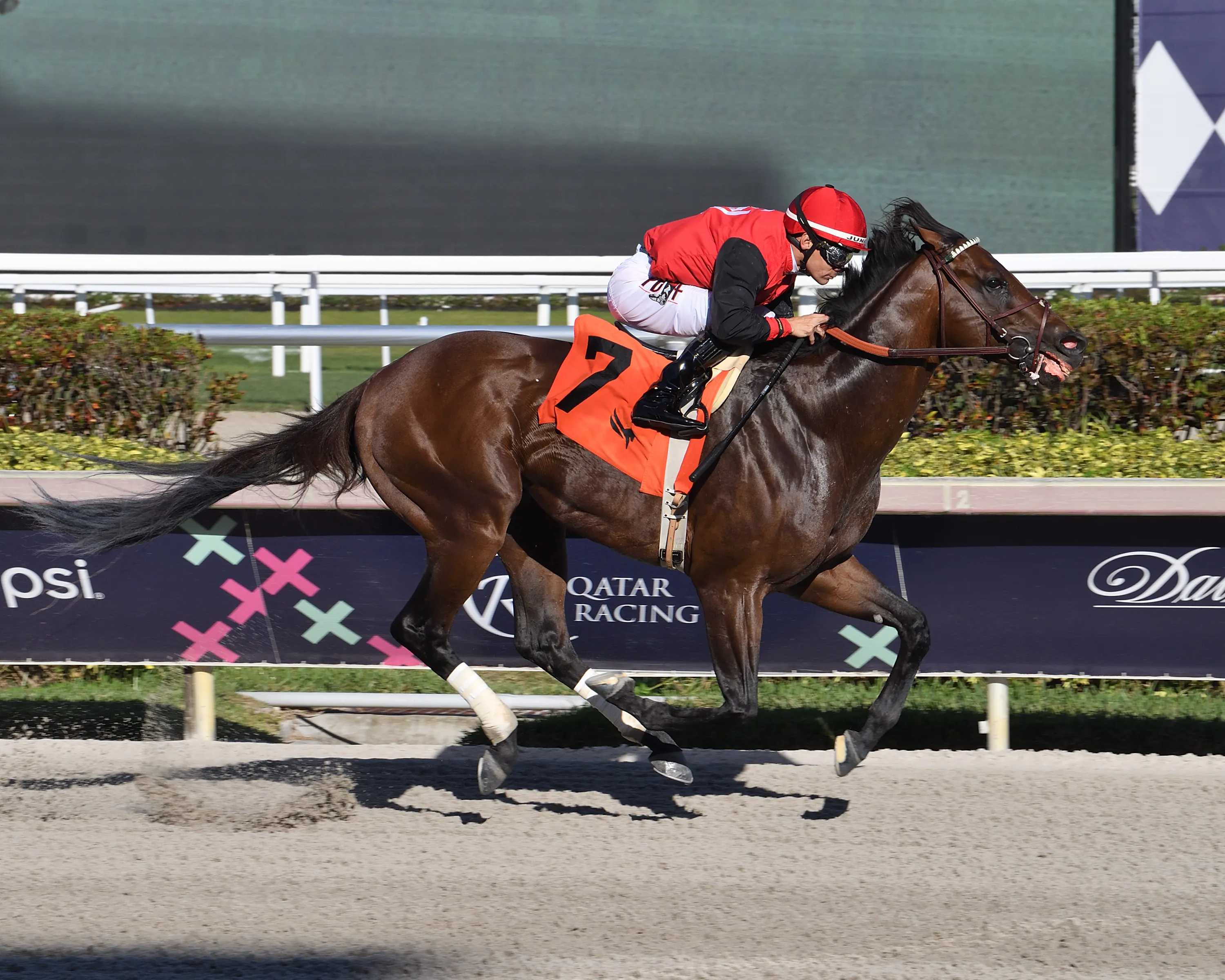 Candy Man Rocket - Gulfstream Park Sprint S. 2023