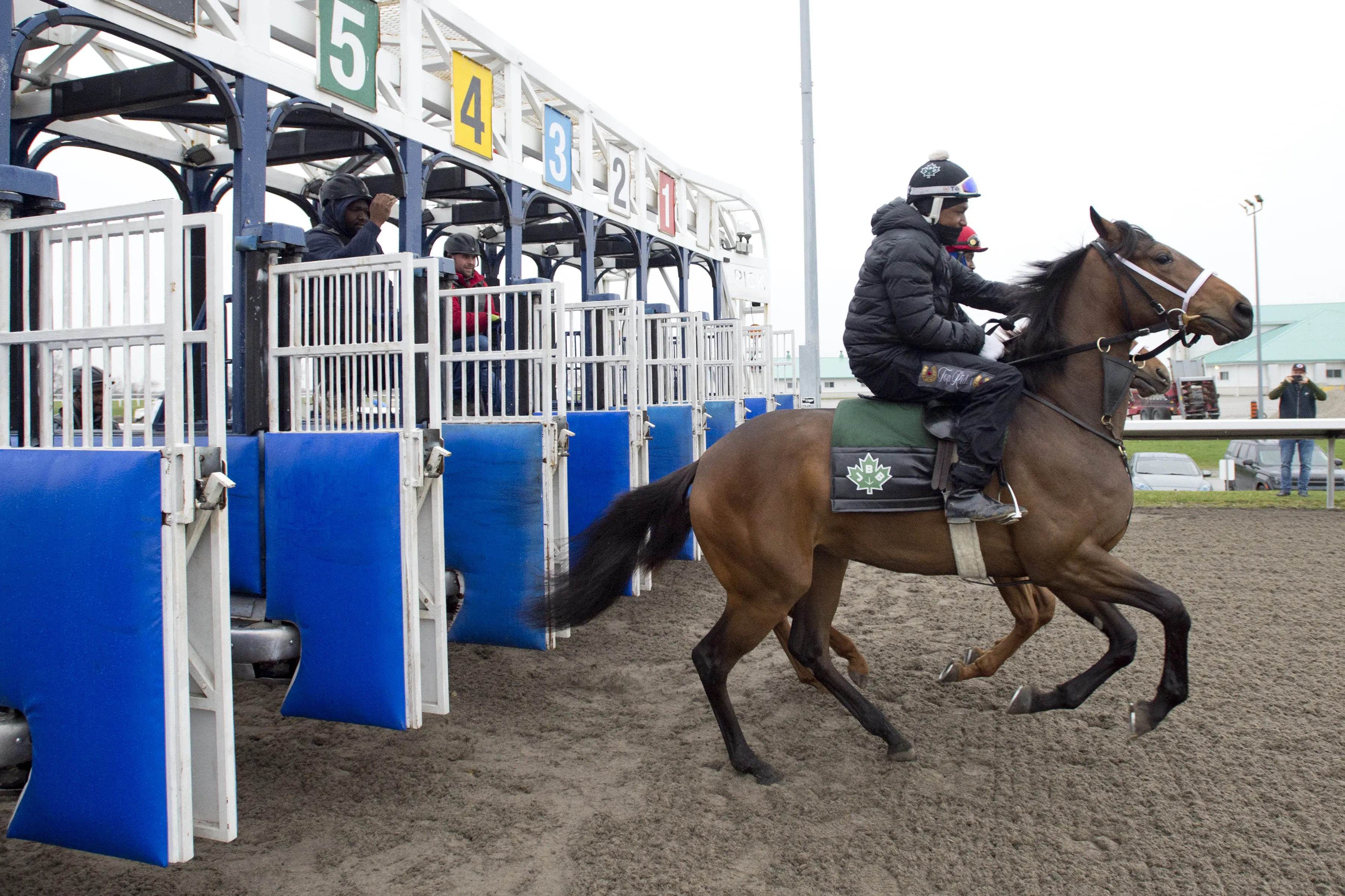 Woodbine scenic10.4.15.26.MB_.jpg